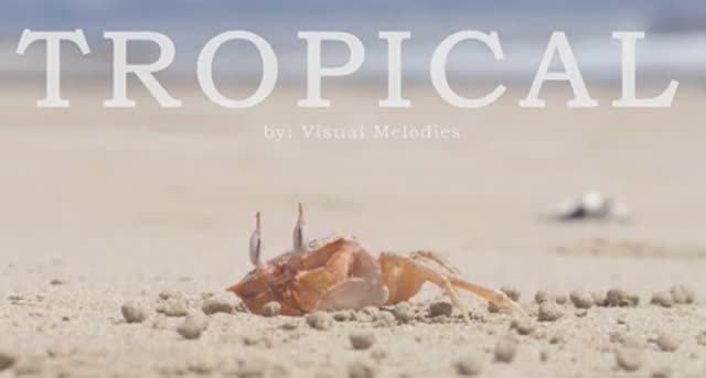 Tropical Music Video with Beautiful Beach Travel Destinations ｜ Music for Office or Home смотреть онлайн