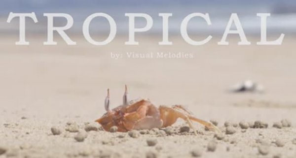 Tropical Music Video with Beautiful Beach Travel Destinations | Music for Office or Home