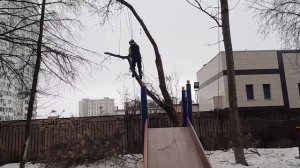 2024.03 удаление аварийных деревьев