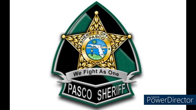 Holiday Travel Park in Holiday Florida Federal Crimes and Rights Violations with Pasco County SO смотреть онлайн
