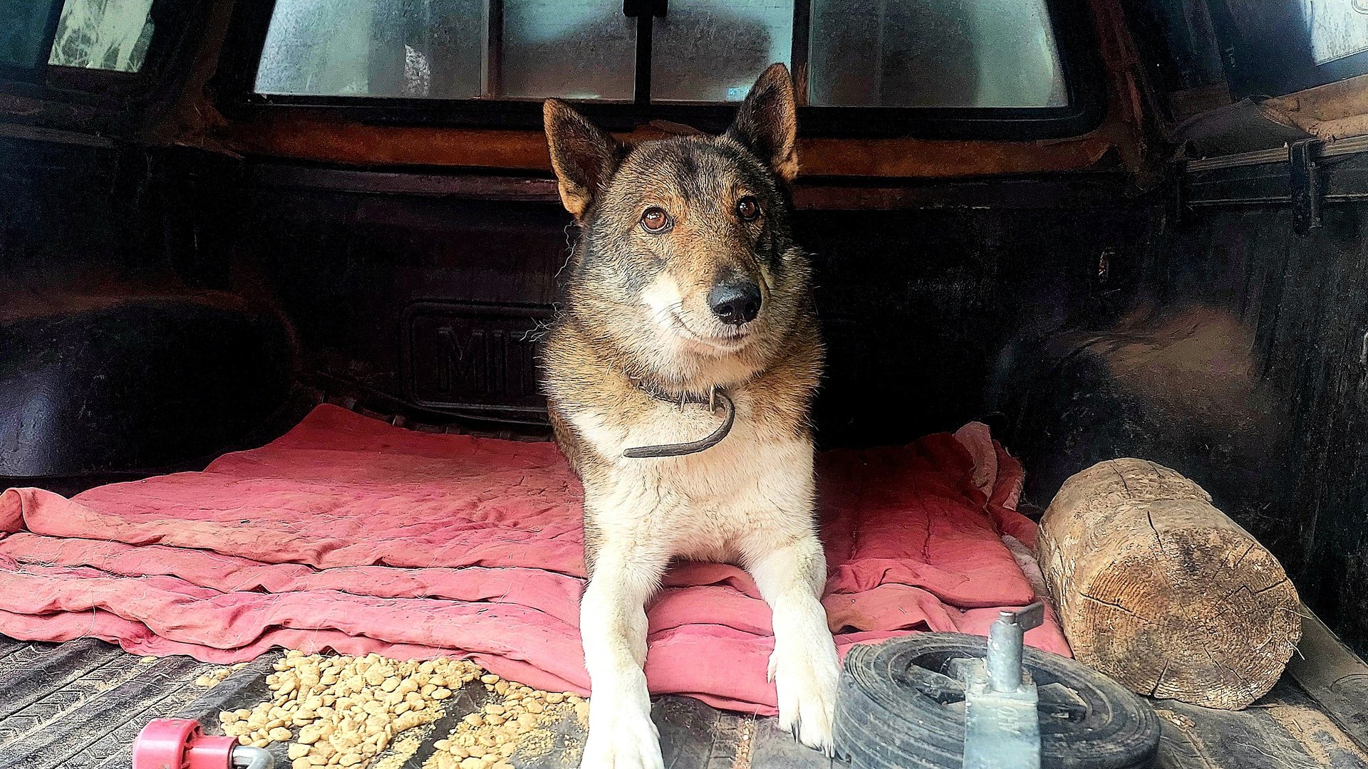 Дорога в Астрахань