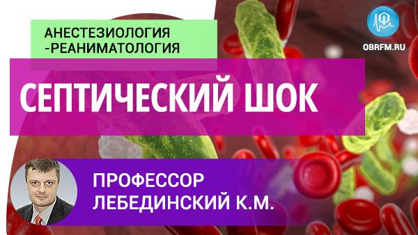Профессор Лебединский К.М: Септический шок смотреть онлайн
