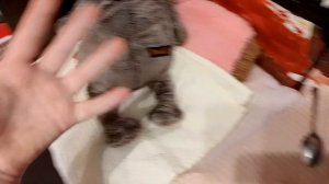 мой первый влог с басиком😁