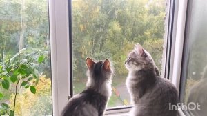 Два дня  в поезде и мы дома