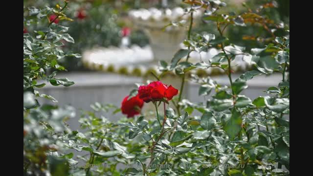 Дворец ТОПКАПЫ 1460г.