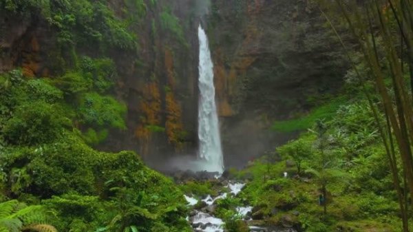 Stive Morgan -  Stivemorgan Relax Morgan Melomaninstrumentalcollection