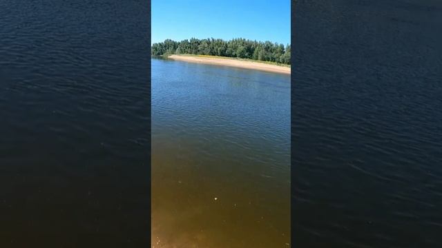 Ловля сазана на Ахтубе смотреть онлайн