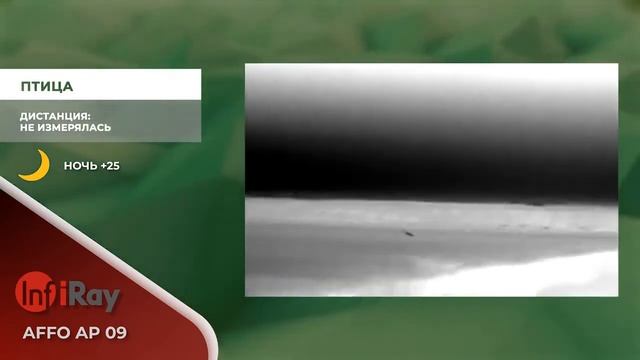 Тепловизионный монокуляр iRay AFFO AP 09 смотреть онлайн