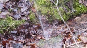 Водопад Весенний... Крым. 14.04.2021.