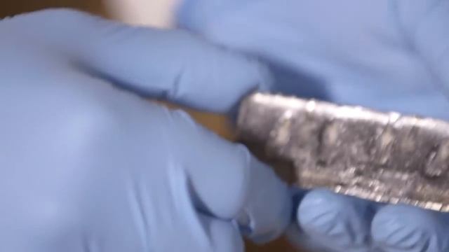 A Femme Fatale Could Save Ash Trees From an Invasive Killer смотреть онлайн