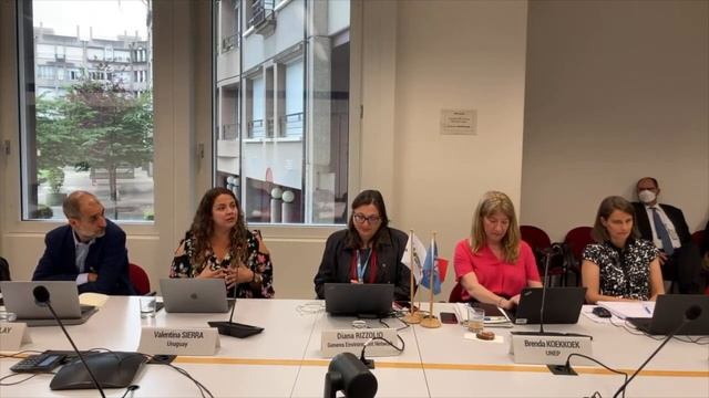 Briefing on the Ad Hoc OEWG to Prepare for the INC to End Plastic Pollution смотреть онлайн