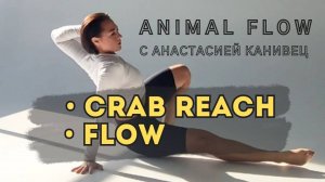 Animal Flow 3 И 6 КОМПОНЕНТ