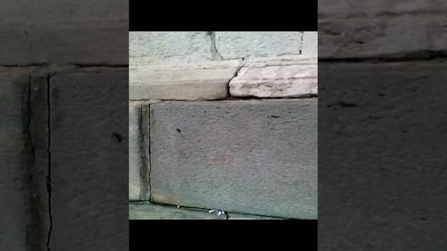 Лобное место Москва смотреть онлайн