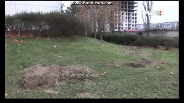 Хабиб бросил вызов Конору и обозвал Цыпленкам смотреть онлайн