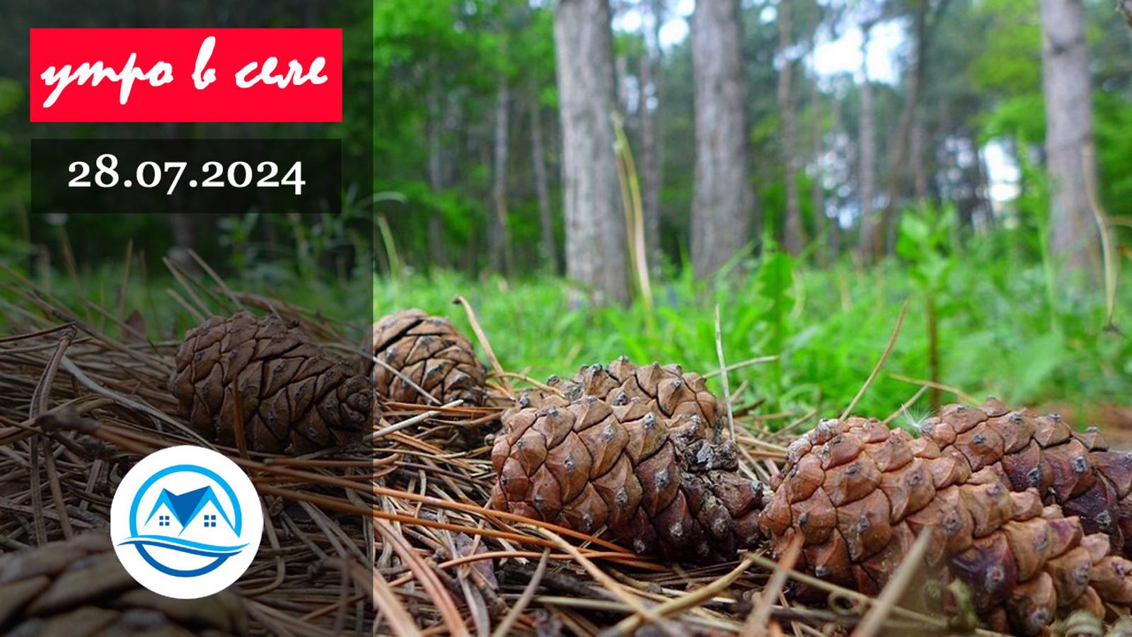 Утро в селе 28.07.2024 смотреть онлайн