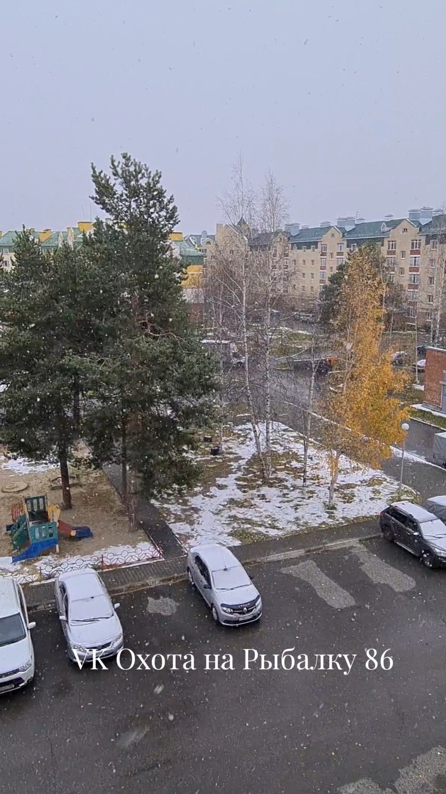 ПЕРВЫЙ СНЕГ #снег #сибирь #рыбалка #зима смотреть онлайн