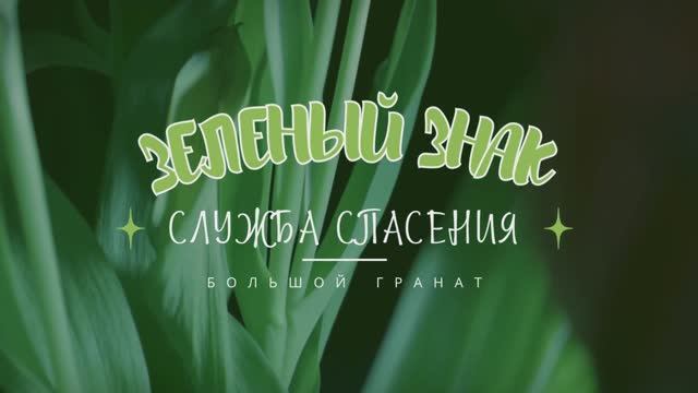 ЗЕЛЕНЫЙ ЗНАК. Сериал: "Служба спасения"