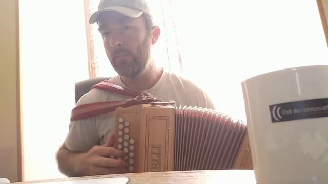 La java des bons enfants à l'accordéon diatonique смотреть онлайн