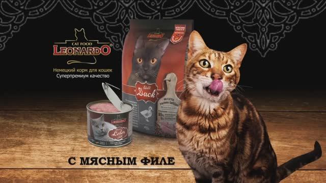 Вебинар-корм для кошек Leonardo смотреть онлайн