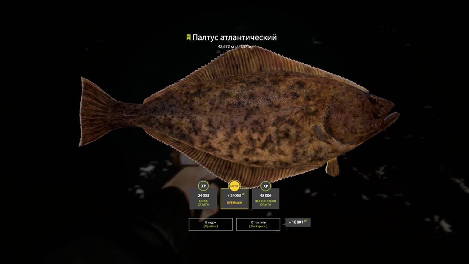 Русская Рыбалка 4 [PC 2018] 🐟 как приятно стало тигать Палтусов