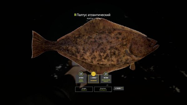 Русская Рыбалка 4 [PC 2018] 🐟 как приятно стало тигать Палтусов