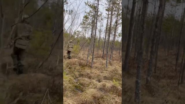 Разведка новых мест. смотреть онлайн