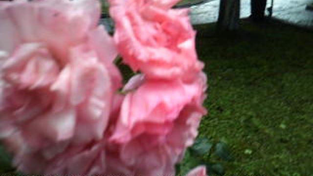 DSCF0035Море Турбаза Приморская Новомихайловский  2021 год.