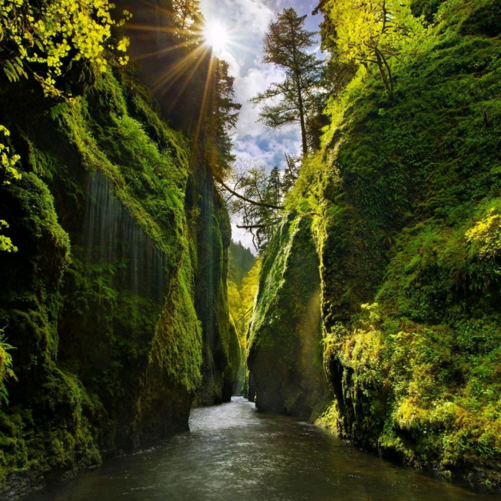 Природные пейзажи