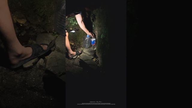 Сочи красивая природа осенью