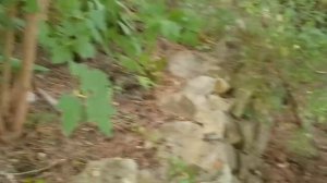 Франция/РУМ ТУР ВОКРУГ ДОМА/ОБЗОР МЕСТА ГДЕ ЖИВУ/ROOM TOUR