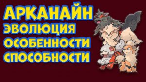 АРКАНАЙН. ЭВОЛЮЦИЯ, ОСОБЕННОСТИ, СПОСОБНОСТИ