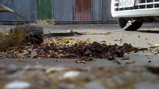 Daihatsu Move; Pulling out flax bushes. смотреть онлайн
