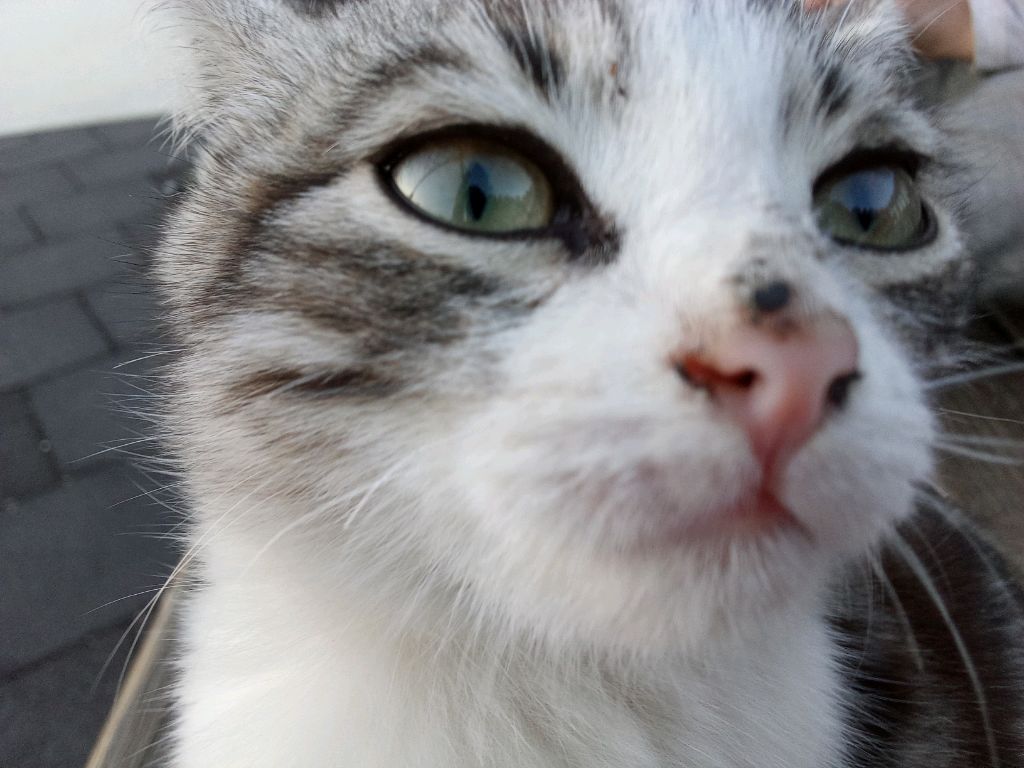 делаем урокииииии