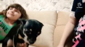 Подарок от доченьки,комнатные розыприжилисьобзор новых обоев✨