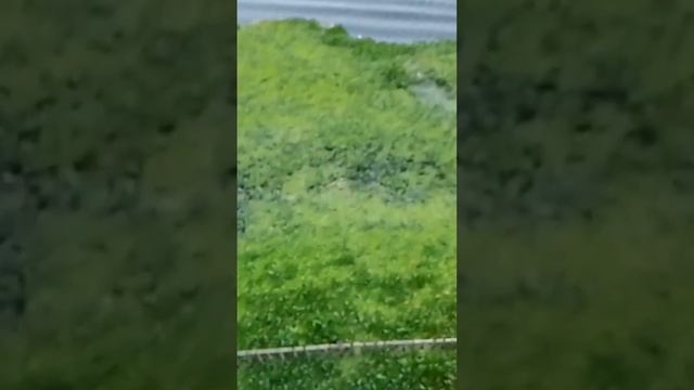 Me and my friend Emteas sunday time spain смотреть онлайн