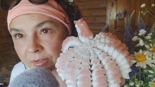 АСМР Близкий шепот, 3 д новиночки и обсуждаю соседей смотреть онлайн