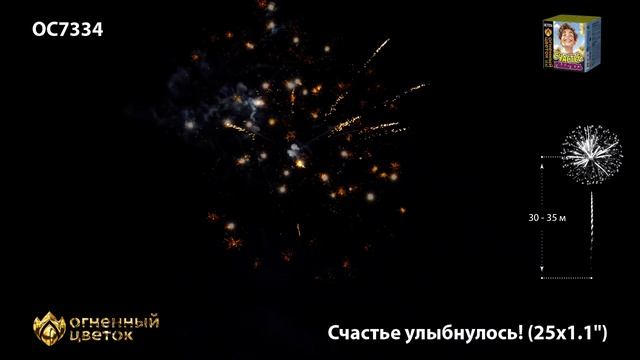 OC7334 смотреть онлайн