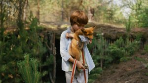 Мой дикий друг | Русский трейлер | Фильм 2024