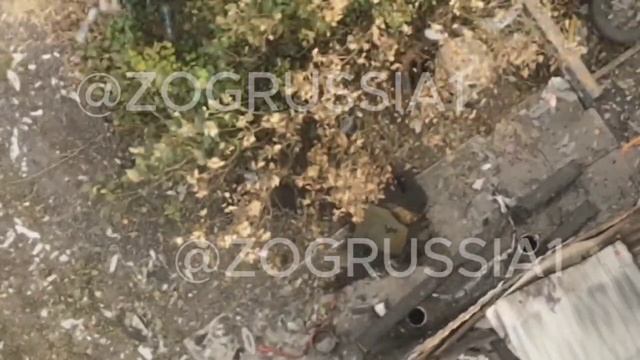 ⚡️СВО 18+ Жесткие кадры выбивания оккупанта из Плехово Курской области смотреть онлайн