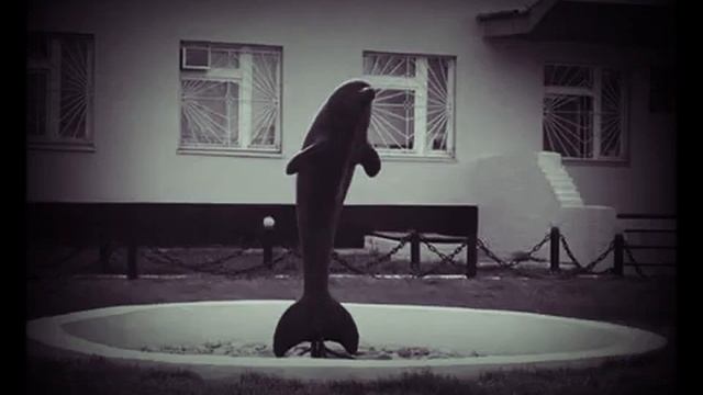 ГиоПика.ЧЁРНЫЙ ДЕЛЬФИН (ТЕКСТ)