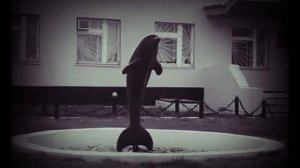 ГиоПика.ЧЁРНЫЙ ДЕЛЬФИН (ТЕКСТ)