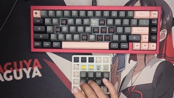 Gateron G Pro 3.0 Switches: Stronger Pin, Built to Last | Compare with JWK and Cherry MX Switches