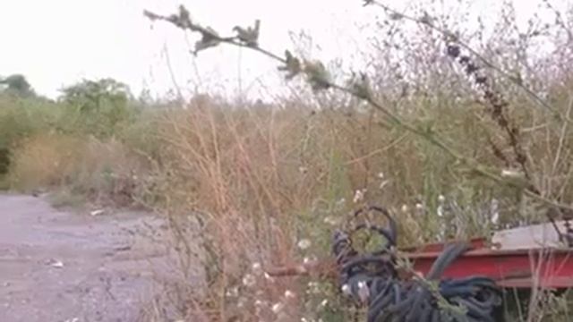 Разсипаха Я Тая Държава, Ей ! смотреть онлайн