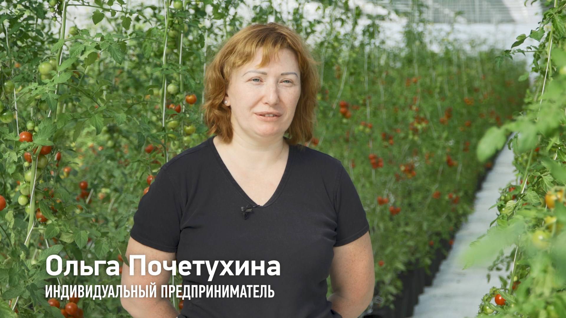 ИП Почетухина Ольга Александровна смотреть онлайн