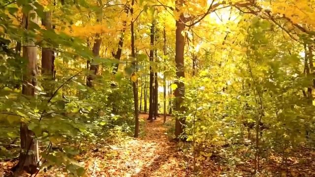 Я смиряюсь Galkache (музыка слова Диана Арбенина) смотреть онлайн