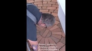 Лайфхак. Процесс работы
