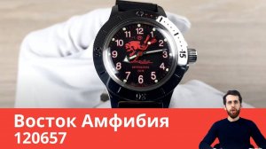 Амфибия с водолазом / Восток 120657