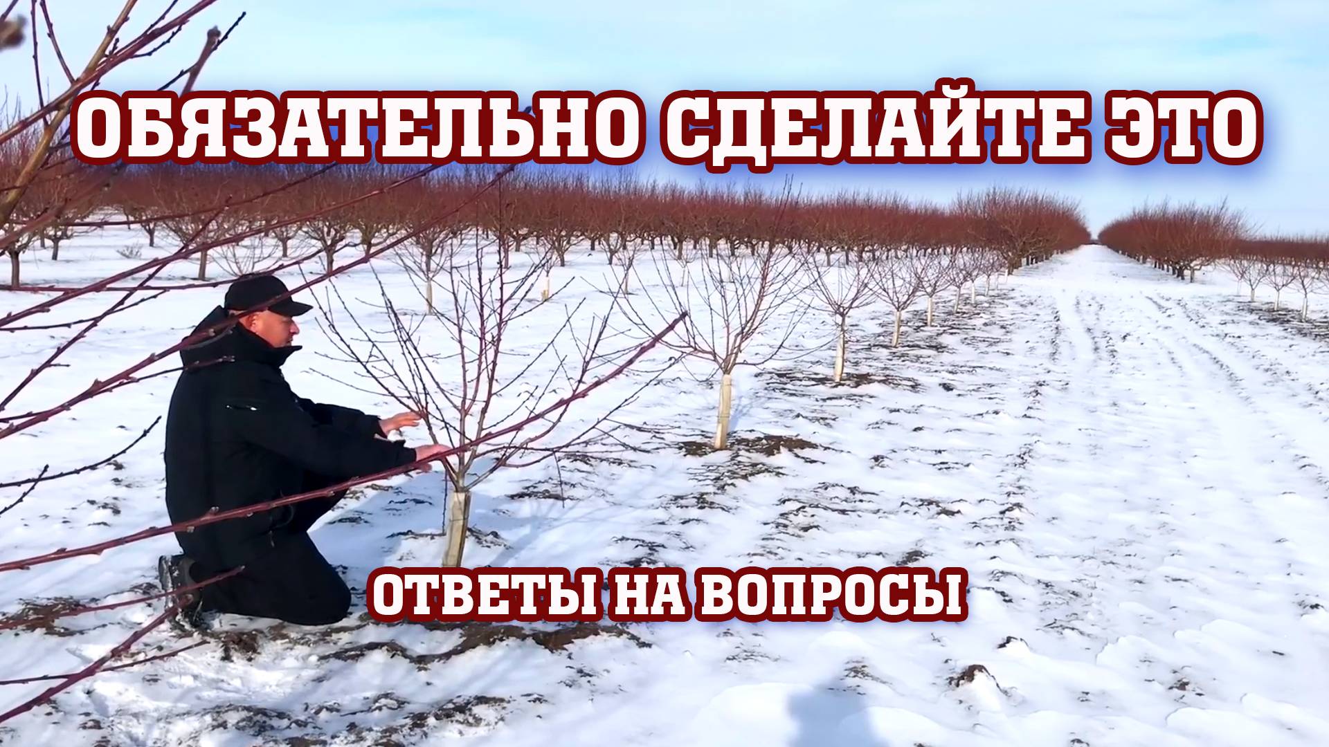 Обязательно сделайте это в саду зимой!!! смотреть онлайн