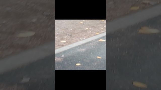 иду в школу смотреть онлайн