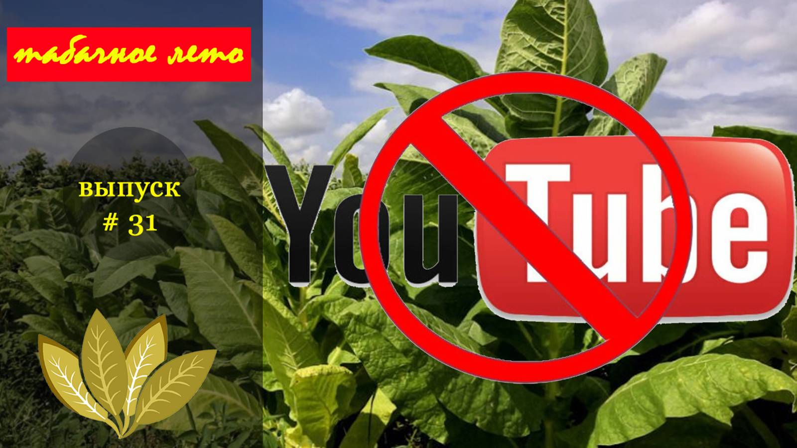 Выпуск #31 Проблемы на канале. YouTube - всё!. Сезон 2024 года. #табак смотреть онлайн